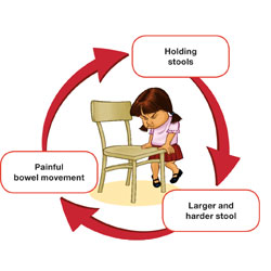 Bowel Habits & Constipation